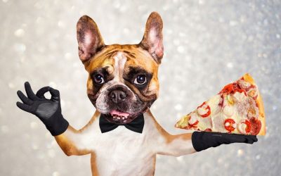 Pizza For Paws Event Gives $2385 To Humane Indiana