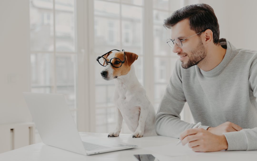 Man and dog both wearing glasses sitting at a computer