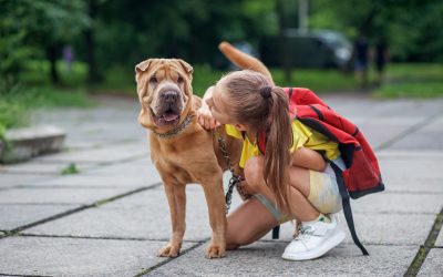5 Reasons To Choose Professional Pet Sitting Services During the Back-to-School Season
