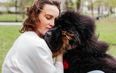 Pet Sitting or Boarding: Which is Right for Your Pet?