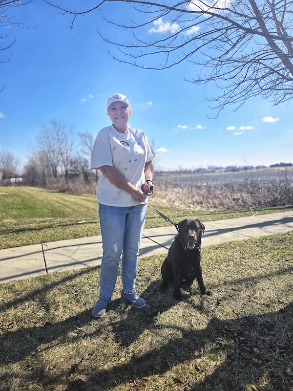 A beautiful lab on a walk by the Pet Parlor in Munster, Indiana