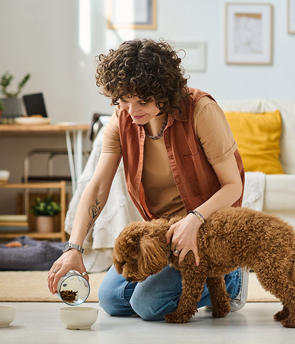 A woman feeding a doodle during a pet sitting visit in Northwest Indiana.