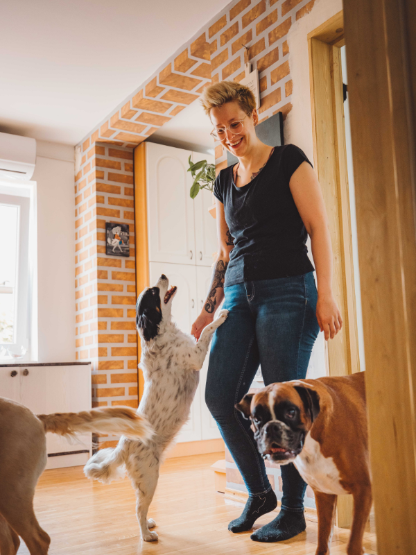 Pet Sitting service near Old Lake County Courthouse in Crown Point.